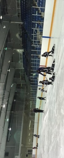 kids playing hockey